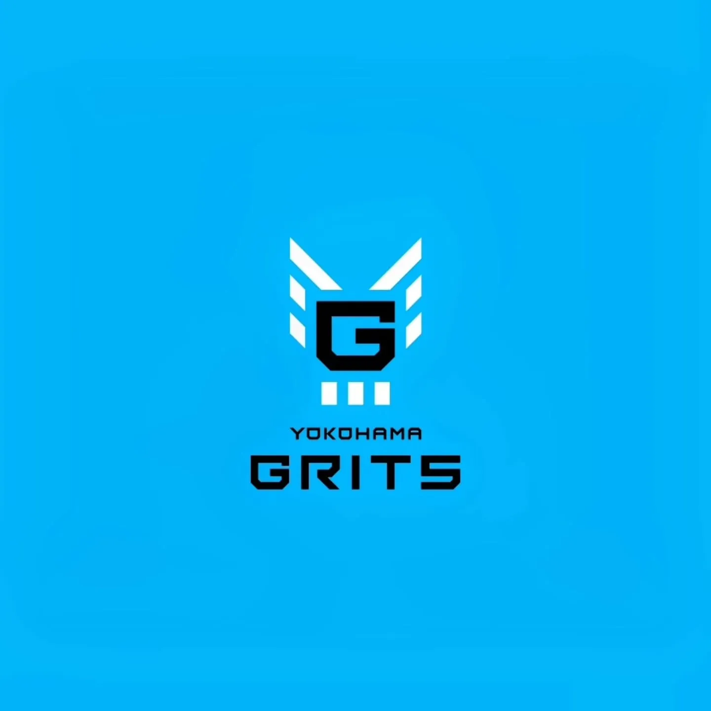横浜GRITSプレーヤー