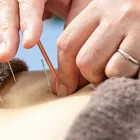 猫背調整